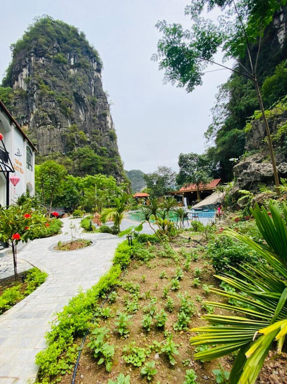 Tam Coc Galaxy Villa Ninh Binh Luaran gambar